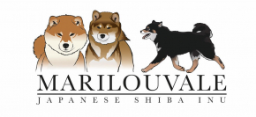 www.japaneseshibainu.co.uk Logo
